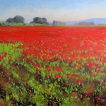 Poppie Fields, Provence
