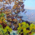 Santa Barbara Eucalyptus